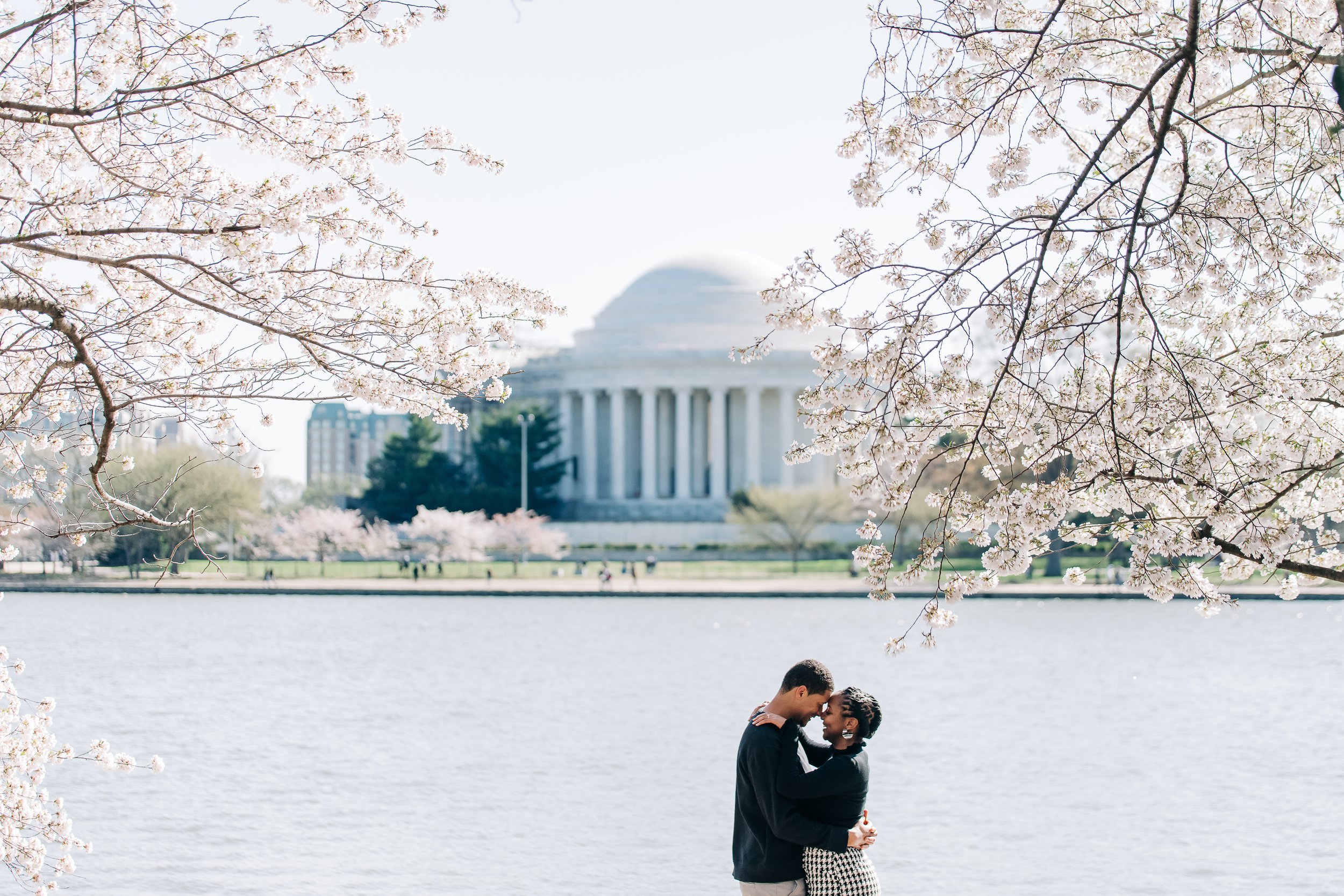 Cherry Blossom Couple's Session at Tidal Basin in Washington DC